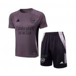 Chandal del Arsenal Manga Corta 2024-2025 Gris Purpura - Pantalon Corto
