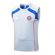 Camiseta de Entrenamiento Bayern Munich Sin Mangas 2025-2026 Gris