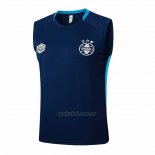 Camiseta de Entrenamiento Gremio Sin Mangas 2025-2026 Azul
