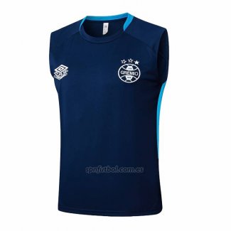 Camiseta de Entrenamiento Gremio Sin Mangas 2025-2026 Azul