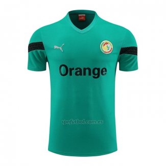 Camiseta de Entrenamiento Senegal 2023-2024 Verde