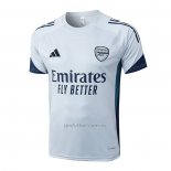 Camiseta de Entrenamiento Arsenal 2025-2026 Gris