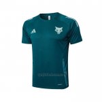Camiseta de Entrenamiento Cruzeiro 2024-2025 Verde