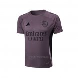 Camiseta de Entrenamiento Arsenal 2024-2025 Gris Purpura