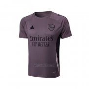 Camiseta de Entrenamiento Arsenal 2024-2025 Gris Purpura