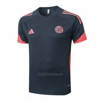 Camiseta de Entrenamiento Bayern Munich 2025-2026 Gris Oscuro
