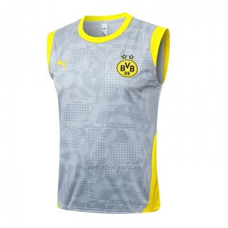Camiseta de Entrenamiento Borussia Dortmund Sin Mangas 2025-2026 Gris