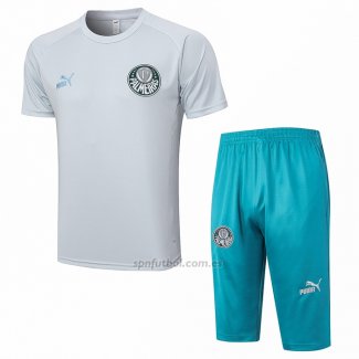 Chandal del Palmeiras Manga Corta 2023-2024 Gris - Pantalon Corto