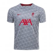 Camiseta Pre Partido del Liverpool 2022 Gris Oscuro