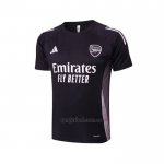 Camiseta de Entrenamiento Arsenal 2024-2025 Gris Oscuro