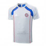 Camiseta de Entrenamiento Bayern Munich 2025-2026 Gris