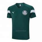 Camiseta de Entrenamiento Palmeiras 2023-2024 Verde