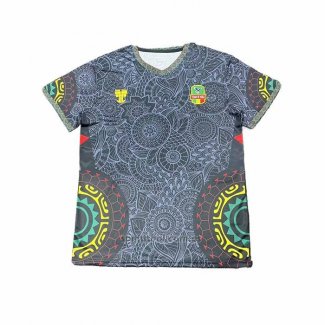 Tailandia Camiseta Mali Special 2025-2026 Gris