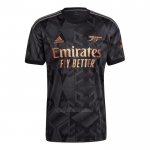 Camiseta Arsenal Segunda 2022-2023